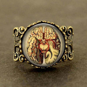 Unisex Anatomical Brain Gothic Art science rings biology for medical student & Doctors